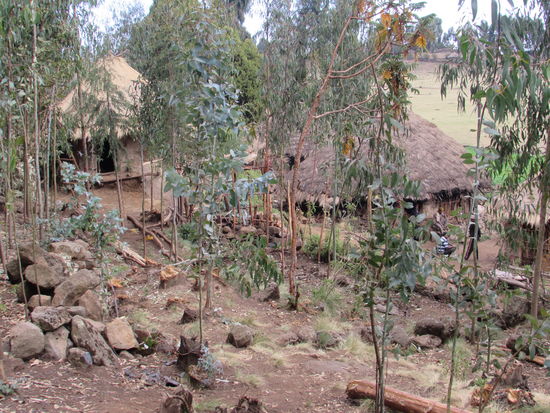 Blick auf die Hütten unserer Gastgeber.
