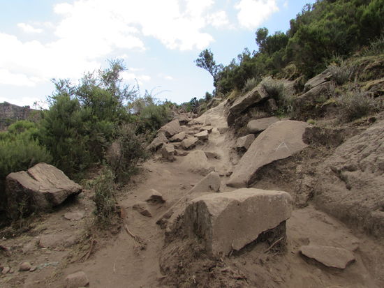 Die Strecke ist oft sehr unwegsam und fordernd.
