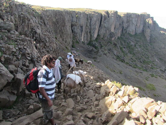 Wir müssen heute ständig anhalten und die Esel vorbei lassen. Die Einheimischen sind unglaublich flink unterwegs.