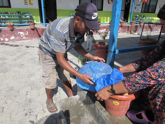 Nach ein paar Tagen entstehen kleine Pflänzchen die sie als Deko für das Festival nutzen.