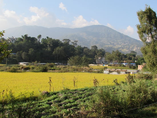 Von dieser Landschaft ist das Waisenhaus umgeben.