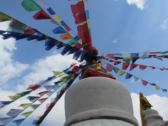 ....ein weiterer nach oben.