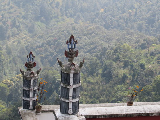 Immer wieder neue Fotomotive.