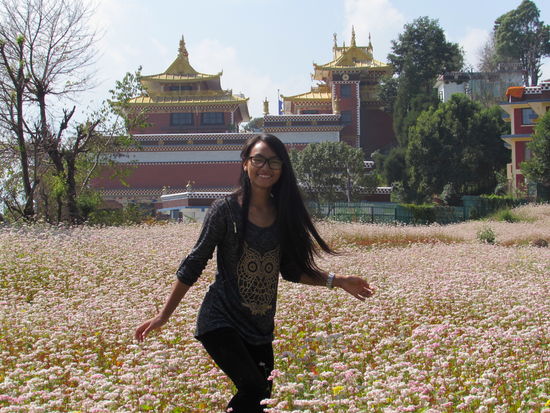 Hinter dem Kloster entdecken wir diese Blumenwiese.
