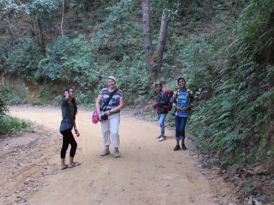 Ein bisschen wie im Dschungel.