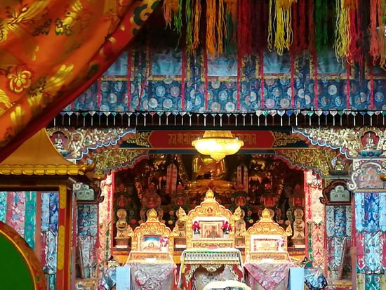 Ein wunderbar schöner Anblick.