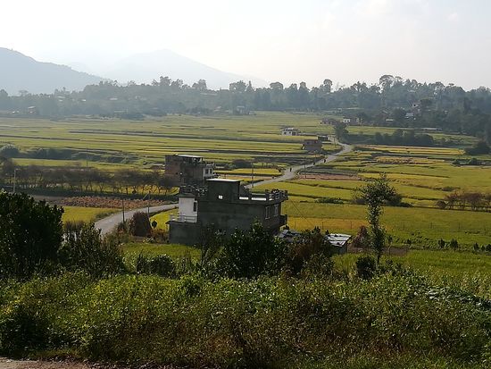 .... der Weg ist noch so weit