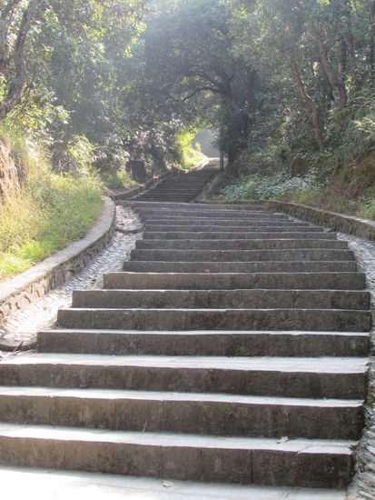 Und noch mehr Treppen. Auf dem Rückweg habe ich die Stufen gezählt.