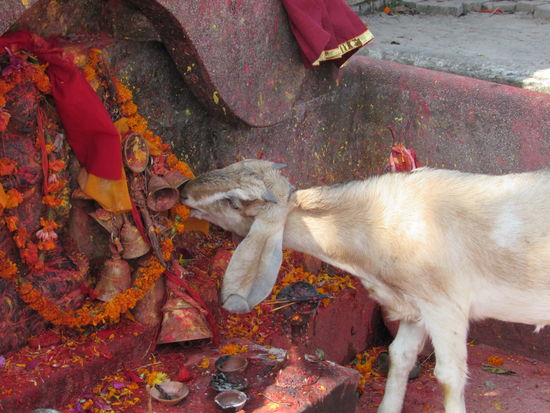 Sie findet überall etwas 