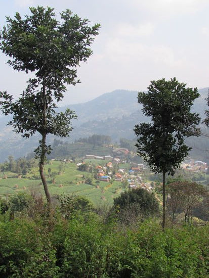 Sehr idyllisch ......