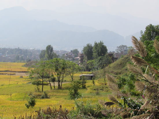 Dann haben wir einen ersten Blick auf die vielen Reisfelder und die Berge.