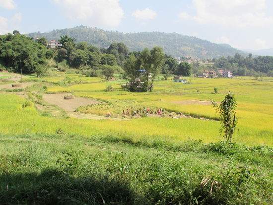 Immer wieder schöne Aussichten.