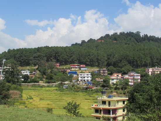 Da oben im Wald ist unser Ziel.