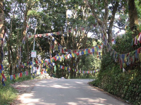 Gleich nach der Abfahrt kommen wir an den vielen Gebetsfahnen vorbei.