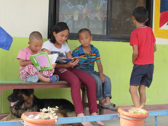 Neben 50 Kinder haben hier auch drei Hunde und eine Katze ein Zuhause gefunden.