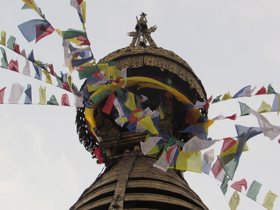 Noch ein Blick nach ganz oben.