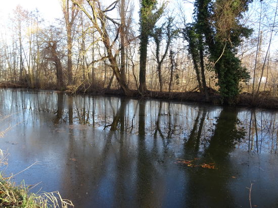 Doch zunächst führt der Weg durch den Linden Park.