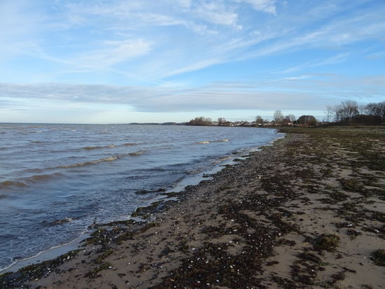 Zwischenstopp am Strand von Niendorf. Die Sturmflut des gestrigen Tages hat viel Gras und Muscheln angespült.