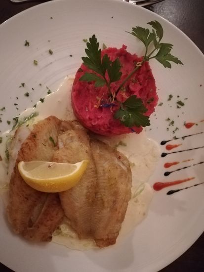 Schollenfilet auf Wirsing Kohl mit Rotebeete Kartoffelpüree - lecker.