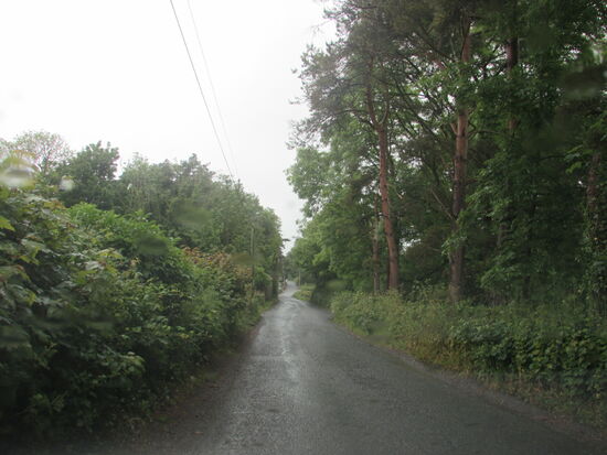 Schmale Straßen, gesåumt von Hecken und ohne Fahrbahnmarkierungen.