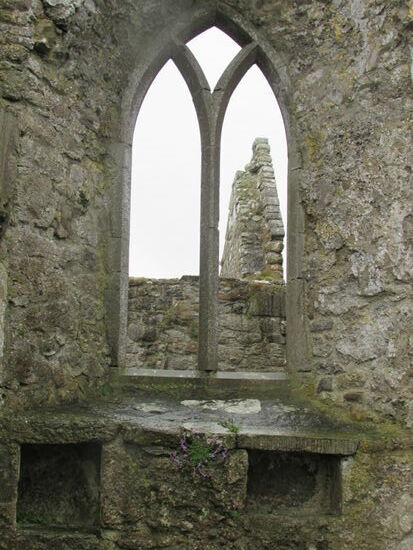 Immer wieder neue Aussichten