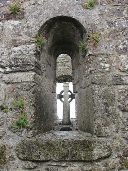 Die Natur erobert die Anlage...