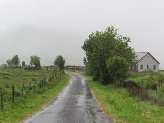 Von Cong fahren wir auf schmalen Nebenstraßen bis nach Leenane.