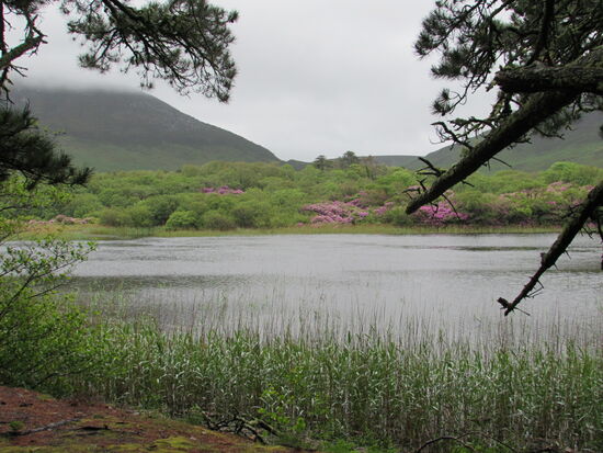 An kleineren Seen vorbei führt ein ca. 1,5 km langer Weg zum Klostergarten.