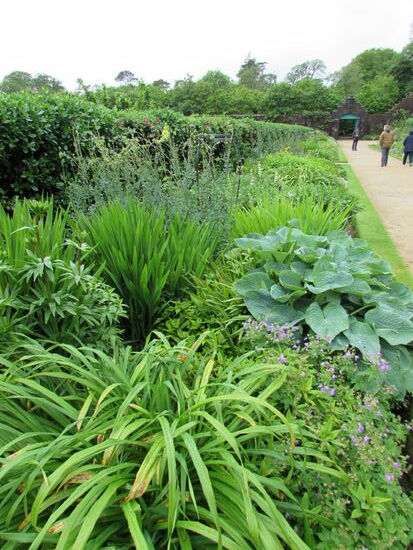 Endlose Staudenbeete