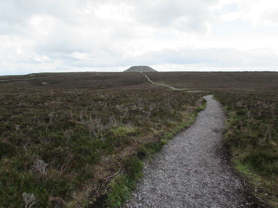 Es geht zurück, zunächst zum Grabhügel und danach abwärts zum Parkplatz.  Dabei werden wir ordentlich vom Wind durchgepustet.