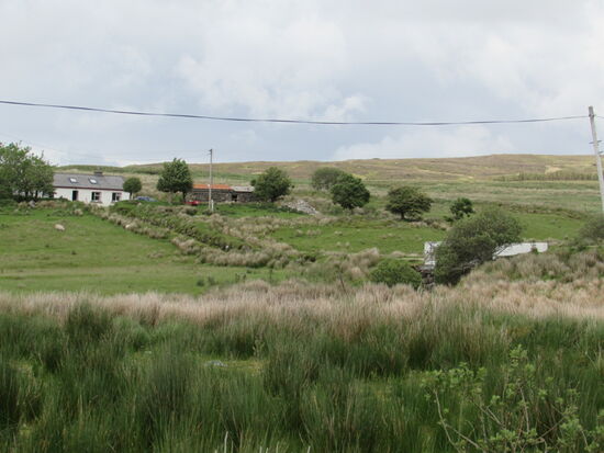 Die Straße geht durch hügliges Weideland.