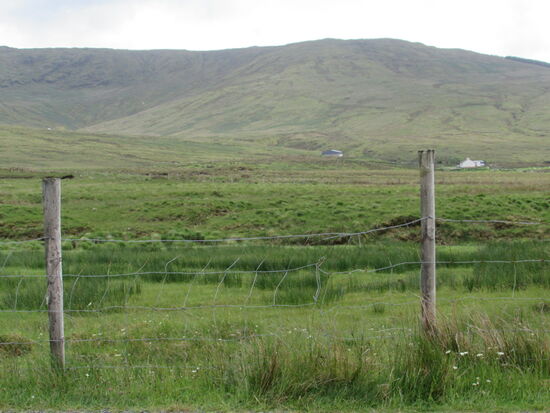 So weit das Auge reicht moorige Wiesenlandschaft.