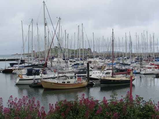 In Howth gibt es super viele schöne Villen. Es scheint ein wohlhabender Ort. Entsprechend viele Segelboote liegen im Hafen.