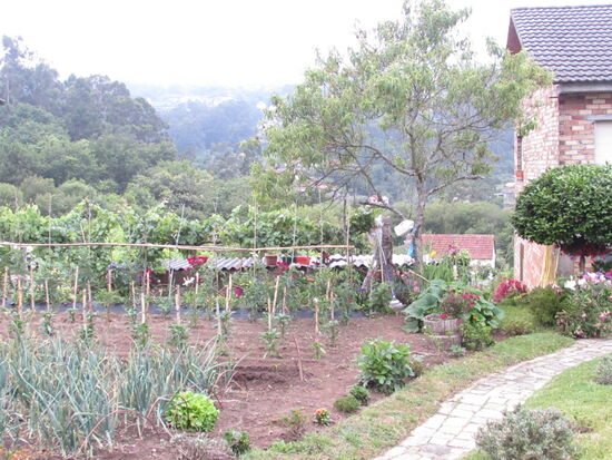 Wie in Portugal schon, so haben auch die Spanier auf dem Land noch riesige Gemüsegarten.