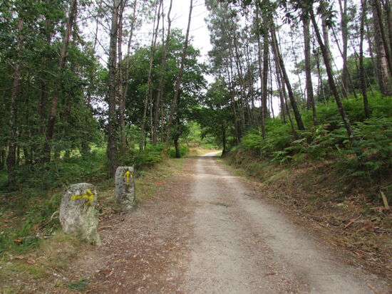 Es lässt sich heute super gut gehen. Der Himmel ist bedeckt und die Temperaturen sind angenehm.