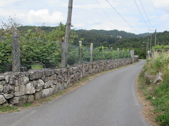 Weinanbau entlang des Weges