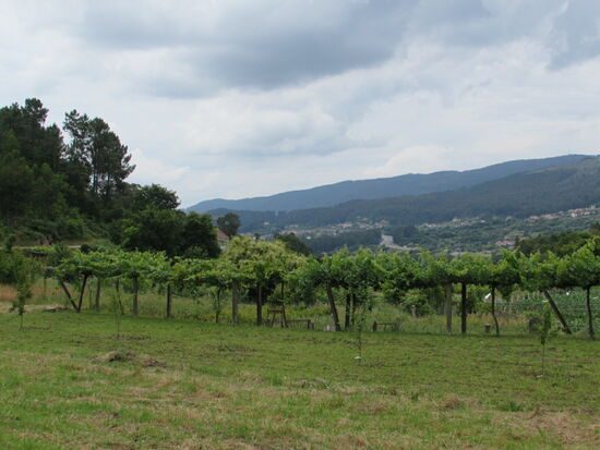 Auch wenn sich die Beine langsam bemerkbar machen, es ist schön hier zu pilgern und mit sich allein zu sein.