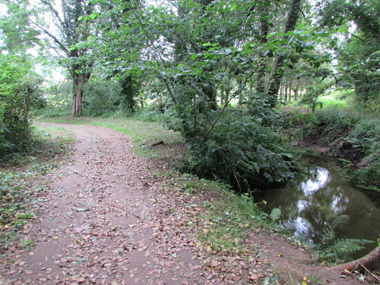 Kurz hinter dem Ort Vilaboa geht es linker Hand Richtung dem Fluss Tomeza. Dem folge ich kilometerweit bis Pontevedra.