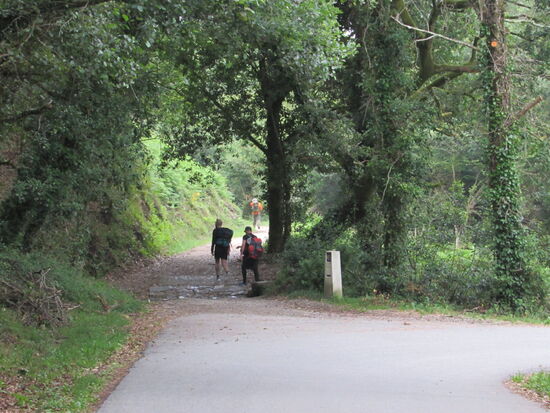 Die Strecke ist heute leicht zu ergehen. Es geht im Wechsel durch bewaldetes Gebiet und kleine Ortschaften. Der gesamte Weg ist mehr oder weniger eben.