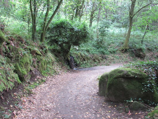 In so schöner Natur gehe ich vergnügt und die Kilometer fliegen dahin 