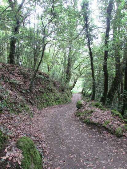 Jorge begleitet mich noch ein wenig und so ist die Zeit kurzweilig.