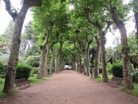 Ein Blick in den botanischen Garten