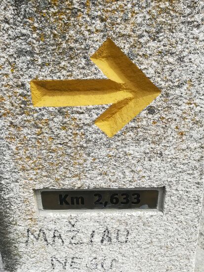 Fast geschafft, 2,6 km