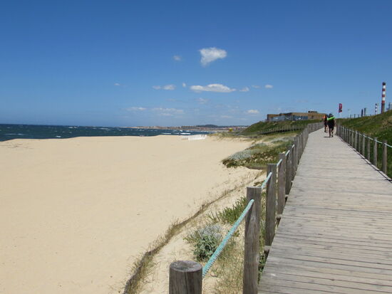 Herrliche Sandstrände Menschenleer. Leider ist der Wind so heftig, daß wir keine Lust haben uns in die Dünen zu setzen.