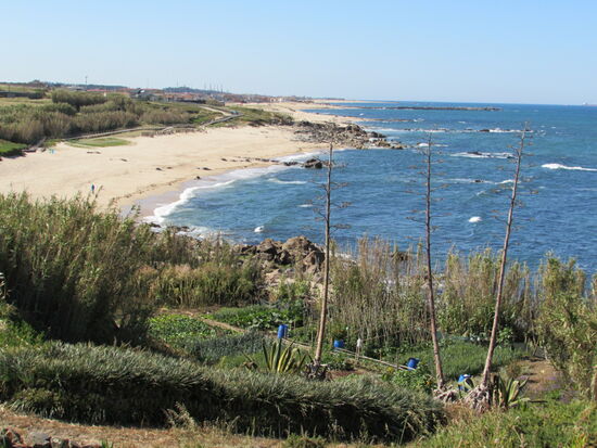 Ein Gemüsegarten direkt am Meer.