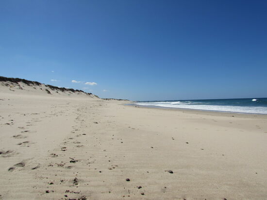 Die Küstenlandschaft hat sich verändert. Lange Strände und Dünen bestimmen das Bild. Ich gehe ein Stück direkt am Wasser entlang.