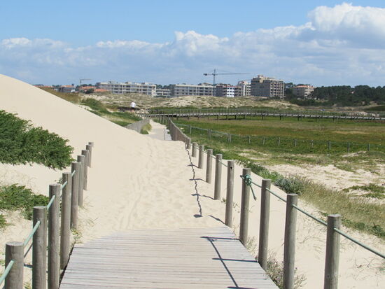 Teilweise haben sich die Dünen den Weg erobert.