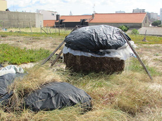 Dort werden Algen getrocknet.