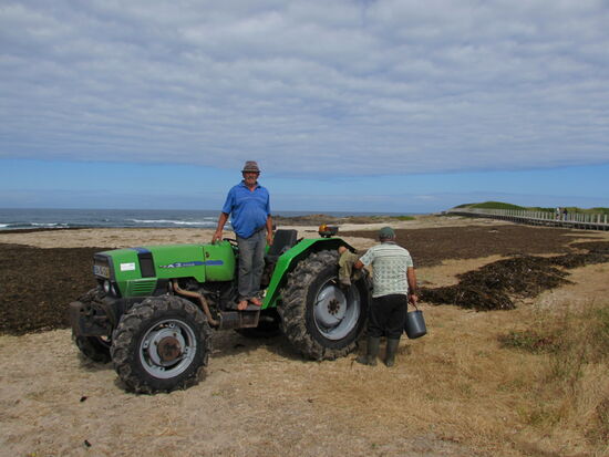 Die Beiden legen die Algen zum trocknen aus.