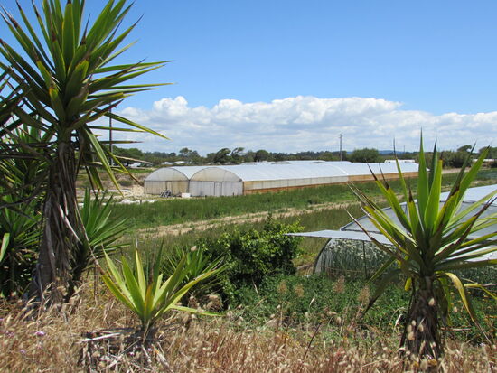 Rechts und links der Route sehen wir viel Gemüse Anbau, zum Teil auch in Gewächshäuser.